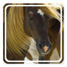 Mustang Horse Invitation
