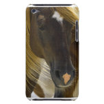 Mustang Horse Photo  iTouch Case iPod Touch Case