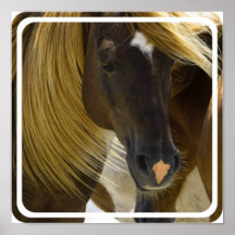 Mustang Horse Photo Print