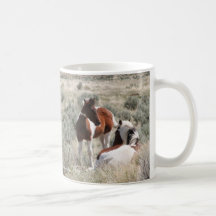 Mustang Mug