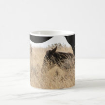 Mustang Mugs