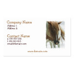 Mustang Wild Horse Business Card