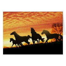 Mustangs sauvages carte