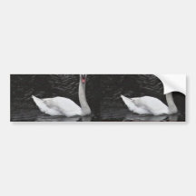 Mute Swan Bumper Stickers