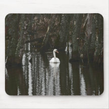 Mute swan mousepad