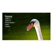 Mute Swan Profile Card Business Cards
