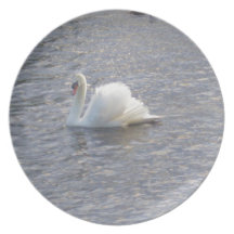 Mute Swan Swimming on the Lake Party Plate