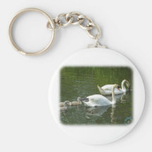 Mute Swans & Cygnets 9R054D-126 Key Chains