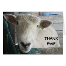 MUTTON MORE TO SAY - THANK EWE CARD