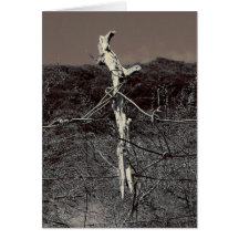 Mutual Support Greeting Card