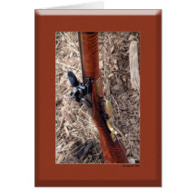 MuzzleLoaders Special Card