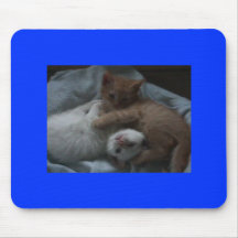 MVC-022Fpingfrosty Mouse Mats