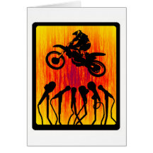 MX SUNNIEST SIDE CARDS