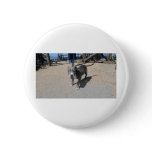 My Amazing Puppy! Pin