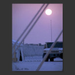 My Art In Kuwait 06' posters