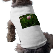 My Baby Tulip Pet Tshirt