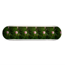 My Baby Tulip Skate Boards
