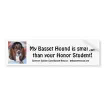My Basset Hound is smarter than .....