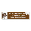 My Basset Hound Puppy Bumper Sticker bumper stickers