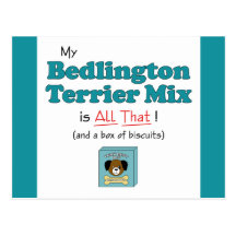 My Bedlington Terrier Mix is All That! Postcard
