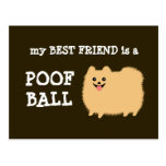 My Best Friend is a Poof Ball - Funny Pom Cartoon Post Card