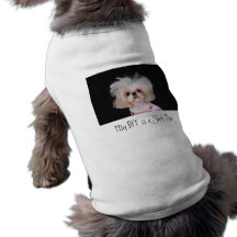 My BFF is a Shih Tzu Doggie T-shirt