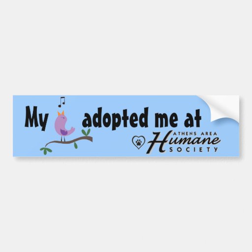 My bird adopted me bumper sticker