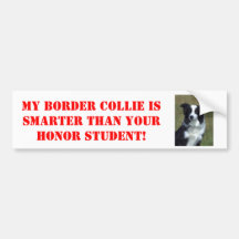 My Border Collie is Smarter Than Your Honour... Bumper Stickers