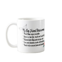My Boyfriend Requirments Mug