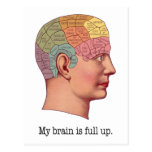 My Brain is Full Up postcards