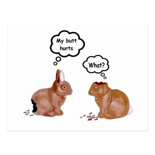 My Butt Hurts Bunnies Postcard