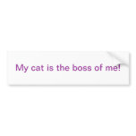 My cat bumper sticker