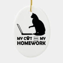 My cat deleted my homework ornaments