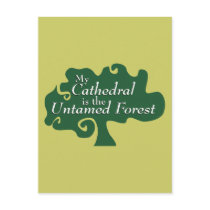 My Cathedral is the Untamed Forest Post Cards