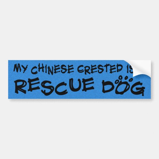 My Chinese Crested is a Rescue Dog Bumper Sticker