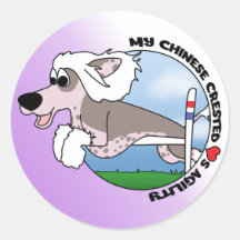 My Chinese Crested Loves Agility Stickers