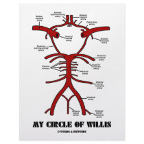 My Circle Of Willis (Arteries Anatomical Humour)