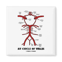 My Circle Of Willis (Arteries Anatomical Humour)