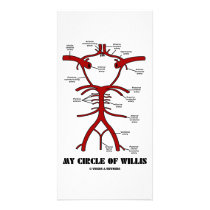 My Circle Of Willis (Arteries Anatomical Humour)