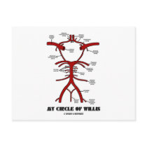 My Circle Of Willis (Arteries Anatomical Humour)