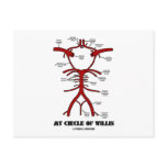 My Circle Of Willis (Arteries Anatomical Humour) postcards