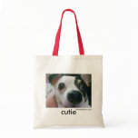 My Cute Chihuahua, Ms Cutie Bag