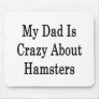 My Dad Is Crazy About Hamsters