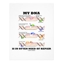 My DNA Is In Often Need Of Repair (DNA Humour) Custom Letterhead