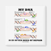 My DNA Is In Often Need Of Repair (DNA Humour) Fridge Magnet