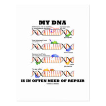 My DNA Is In Often Need Of Repair (DNA Humour) Post Card