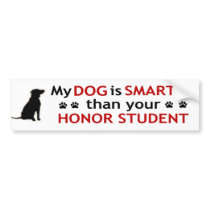 My Dog Is Smarter