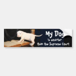 My Dog is Smarter than the Supreme Court Bumper Stickers
