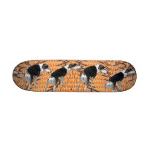 My Dog's Skateboard