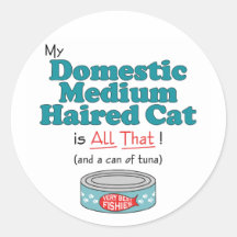My Domestic Medium Haired Cat is All That! Sticker
